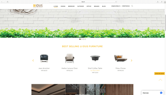 Website Development for IDUS