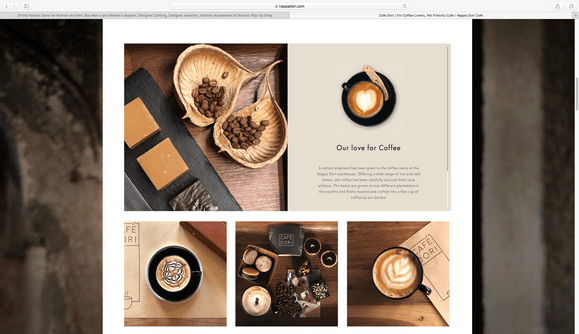 Website Design & Development for NappaDori