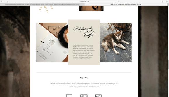 Website Design & Development for NappaDori