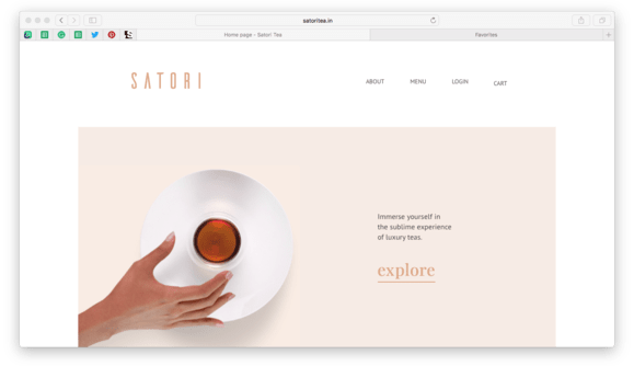 Website Development for Satori