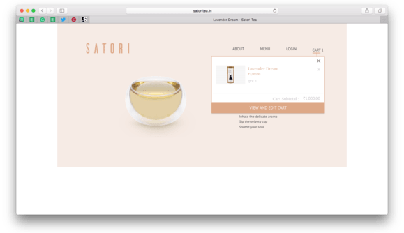 Website Development for Satori