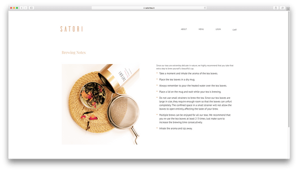 Website Development for Satori