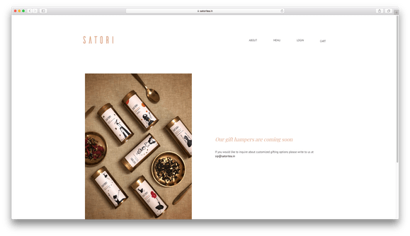 Website Development for Satori