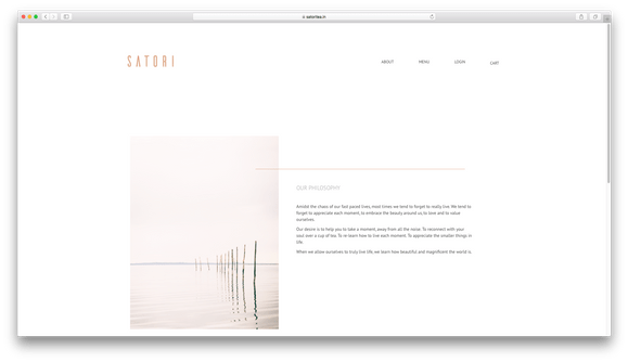 Website Development for Satori