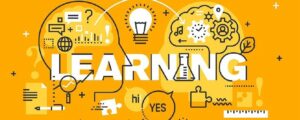 Navigating Learning and Development in the Digital Era: Digital Impressions’ Innovative Approach to Learning and Training